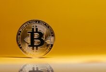 gocryptobet.com bet