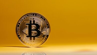 gocryptobet.com bet